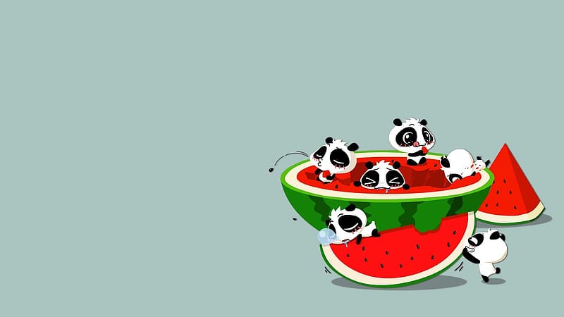 :), watermelon, funny, panda, art, cute, summer, bear, green, red, pepene, fruit, vara, HD wallpaper