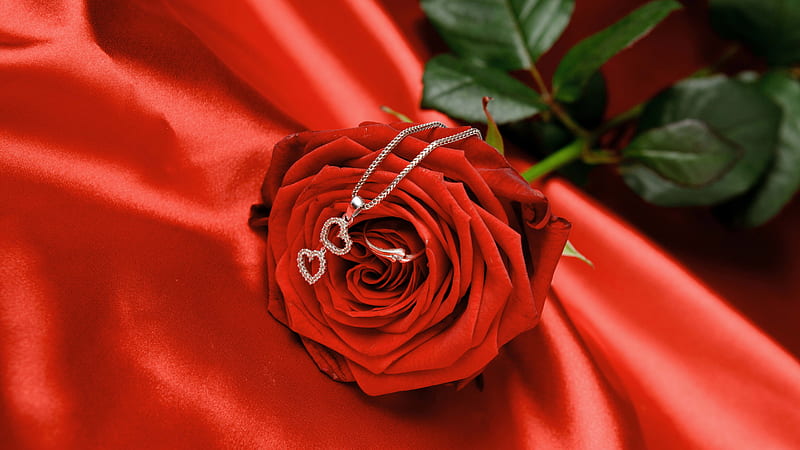 Silver Heart Shape Pendant Chain On Red Rose Satin Cloth Heart, HD wallpaper