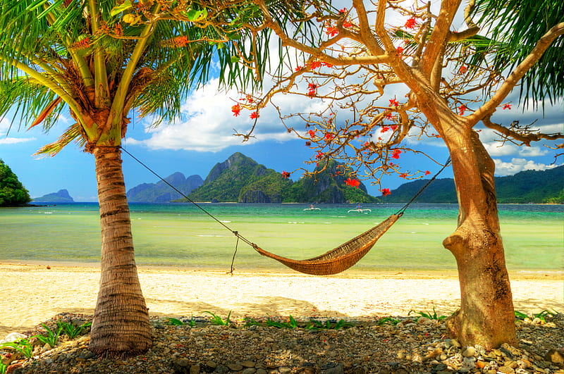 beach, rocks grass, background, palm, nice, stones mounts, repose, flowers, relaxation, hills, quiet, ocean, relax, coconut, mountains, cocopalm, bonito, break, bed, leaves, roots, sand, leisure, vacation, pillow, hq, paisagem, net, r, nature branches, pc, hammock, clouds, stand, lounge, calm, boats, beauty, rest, islands, coco, trees, sky, panorama, palms, water, cool, paradise, beaches, paisa, boulders, fullscreen, bay, landscape, sleep, canoe, mains, trunks, sea, refreshment graphy, grasslands, sandy, tranquility, cholines exotic, clear, respite, leaf, coconut-tree, pleasant, serene, plants, natural, HD wallpaper