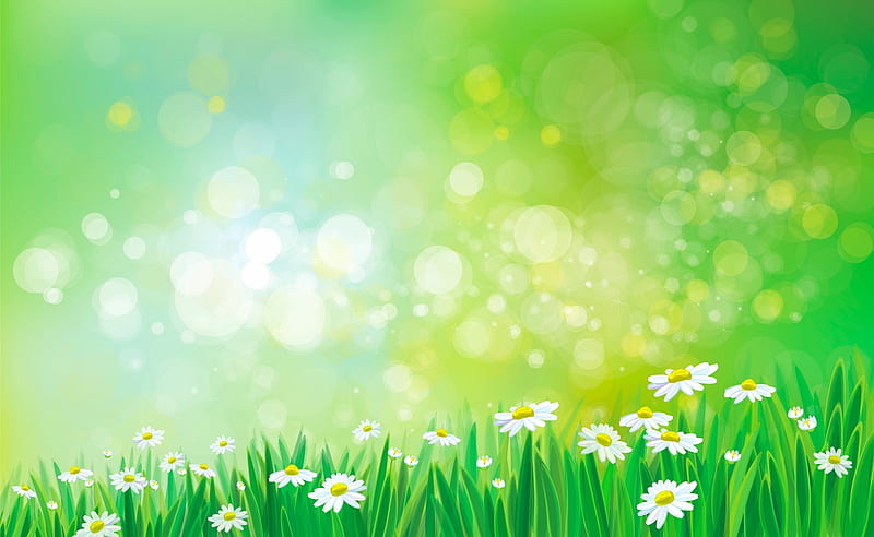 Spring Flowers, Bokeh, Sunlight, Green, Grass, HD wallpaper | Peakpx