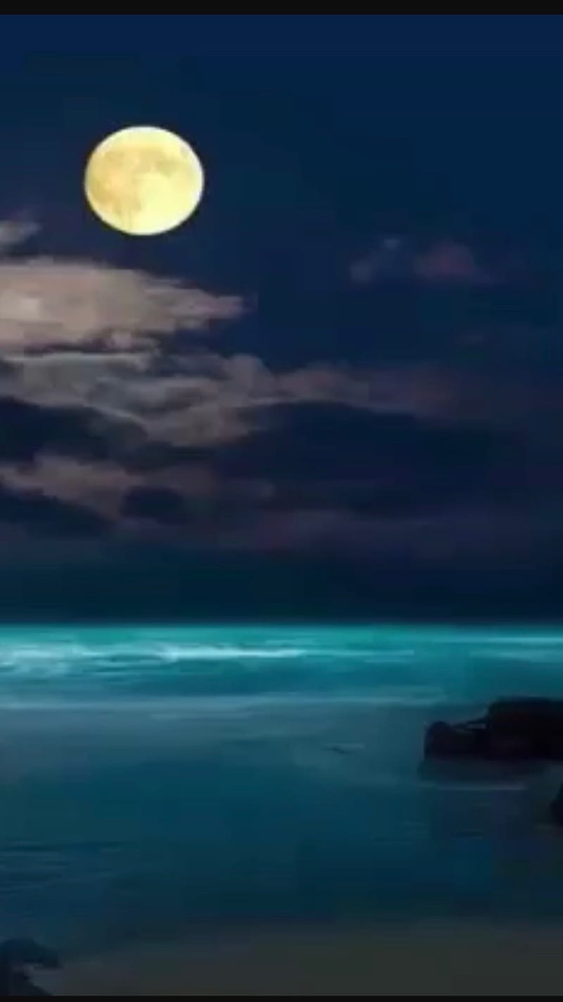 Luna y mar, playa, luz de luna, Fondo de pantalla de teléfono HD | Peakpx
