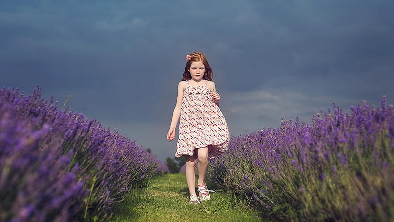 Cute Little Girl Is Walking In The Middle Of Lavender Field Under Blue Sky Wearing Printed Frock Cute, HD wallpaper