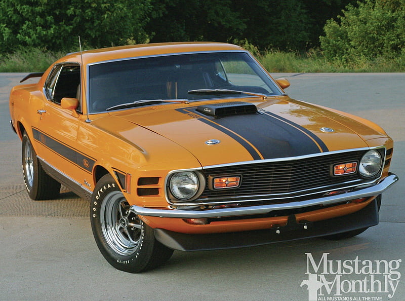 Ford Mustangs 1965 1972 Special Editions, mustang, 1970, black stripe ...