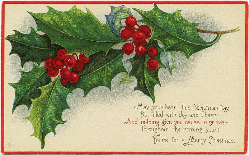 Merry Christmas!, mistletoe, red, fruit, craciun, berry, green, vintage, card, christmas, HD wallpaper