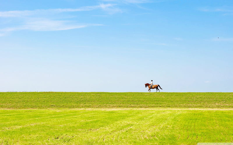 Horseback Riding 1, graphy, wide screen, equine, horse, riding, animal, HD wallpaper