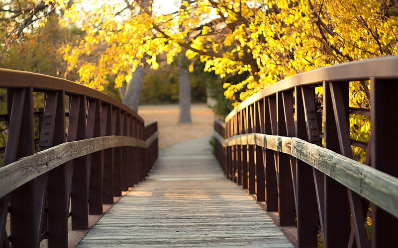 Autumn Bridge-Scenery, HD wallpaper