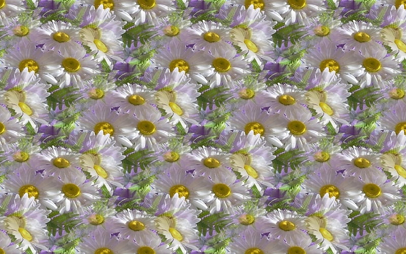 Texture, pattern, yellow, green, flower, paper, white, pink, daisy, HD wallpaper