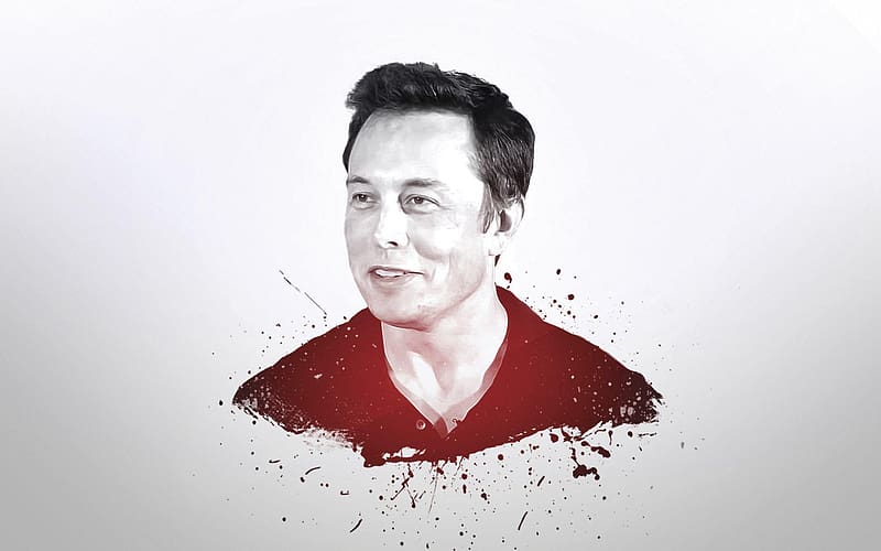 Download Elon Musk We Trust Fan Art Wallpaper  Wallpaperscom
