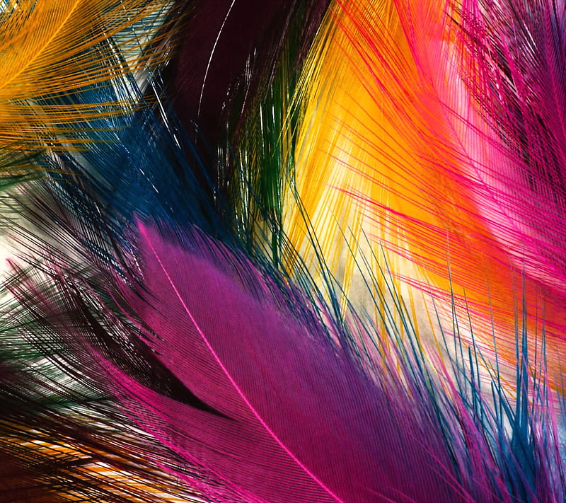 Feathers, Art, Desenho, Painting, Hd Wallpaper 