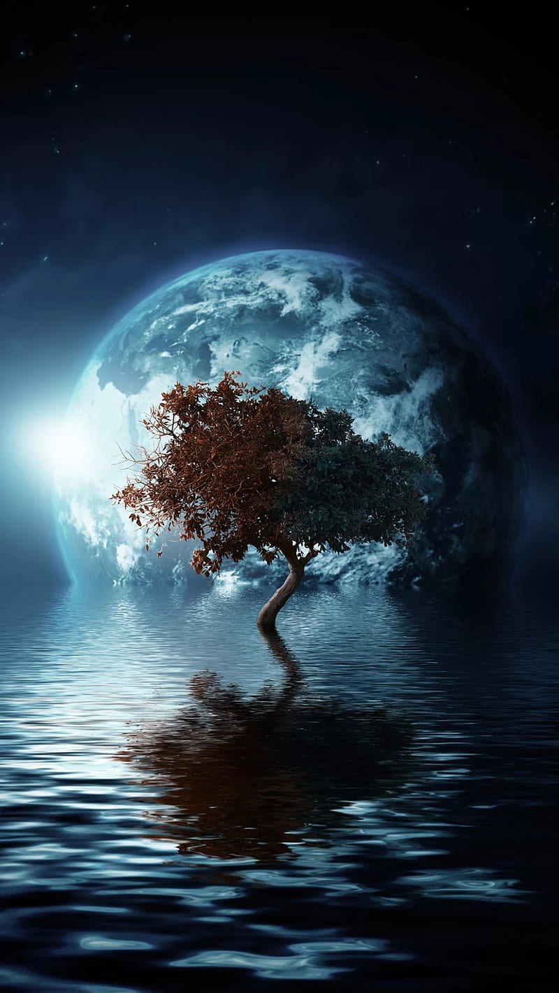 Lonely tree, dark, fantasy, nature, night, ocean, planet, sea, HD phone ...