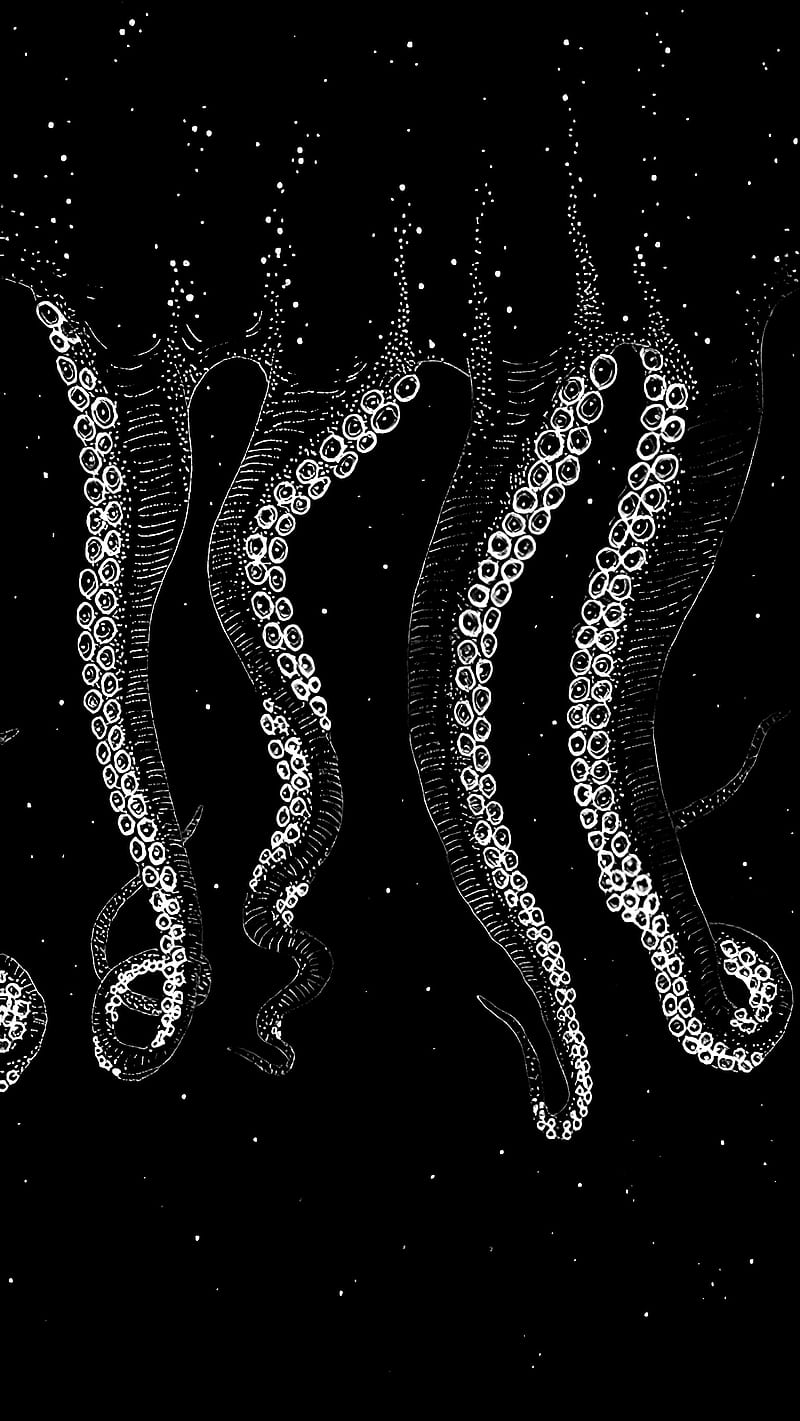 Octopus, black, black and white, brand, drefgold, madman, octopus brand, white, HD phone wallpaper