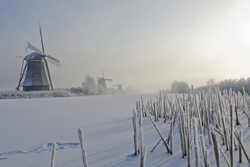 kinderdijk, home place, windmills, molen, netherlands, south holland, water, in, Home town, HD wallpaper