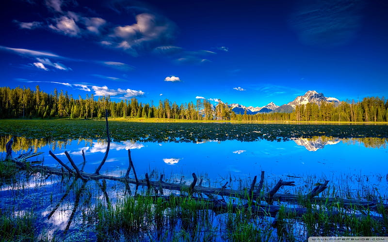 Beautiful Lake, forest, mountains, nature, blue sky, reflection, clouds,  lake, HD wallpaper | Peakpx
