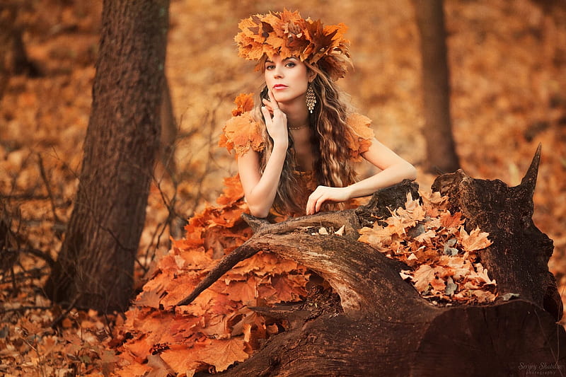 Beauty, tree, autumn, girl, model, orange, sergey shatskov, leaf ...