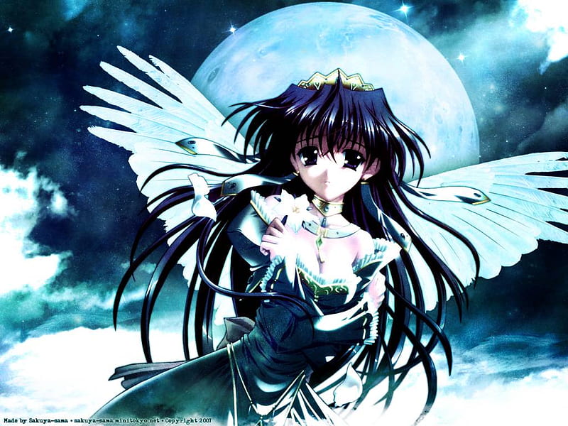 Sofia Hiver Rallensia, wings, angel, sky, clouds, fly, full moon, feathers, night, HD wallpaper