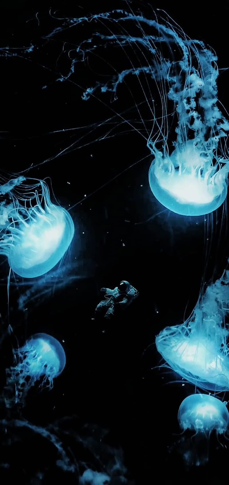 Jellyfish, aquarium, blue, dark, fish, jelly, note 10, ocean, plus, sea, water, HD phone wallpaper