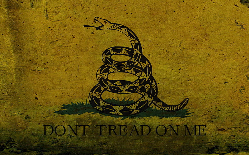 Dont Tread On Me, nice, cool, awesome, abstract, snake, HD wallpaper