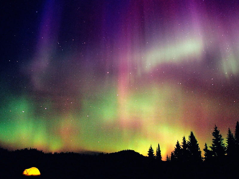 Aurora Borealis / Northern Lights, fuzz, aurora borealis, HD wallpaper