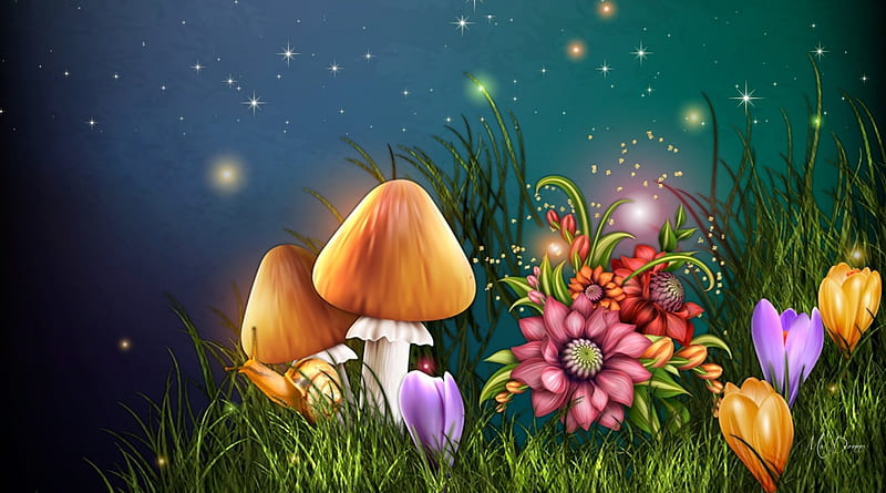Magical Summer Night, stars, toadstools, glow, snail, grass, spring, fantasy, summer, magical, flowers, mushrooms, slug, Firefox Persona theme, night, HD wallpaper