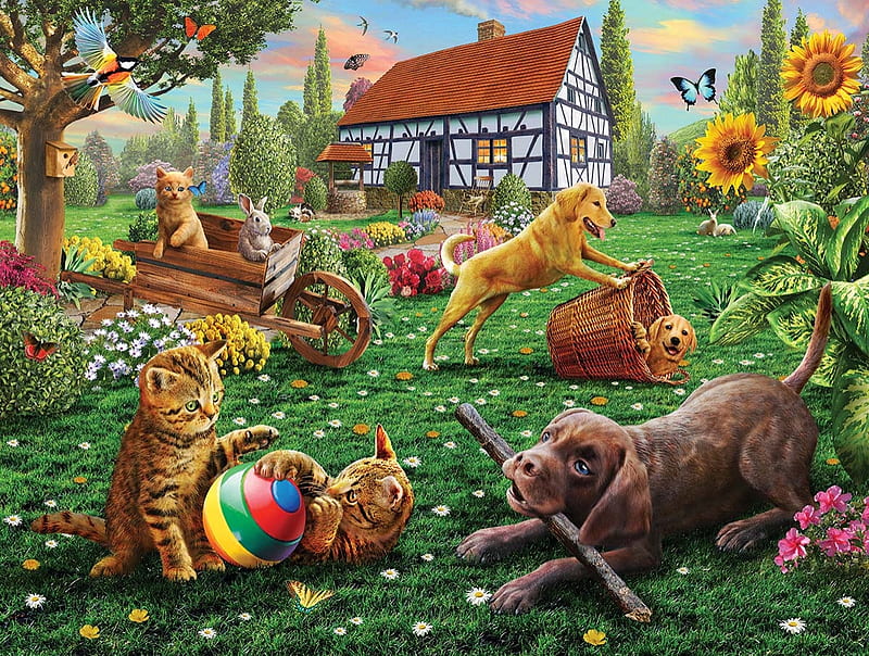 Summer fun, summer, kitten, dog, adrian chesterman, garden, cat, caine, vara, HD wallpaper