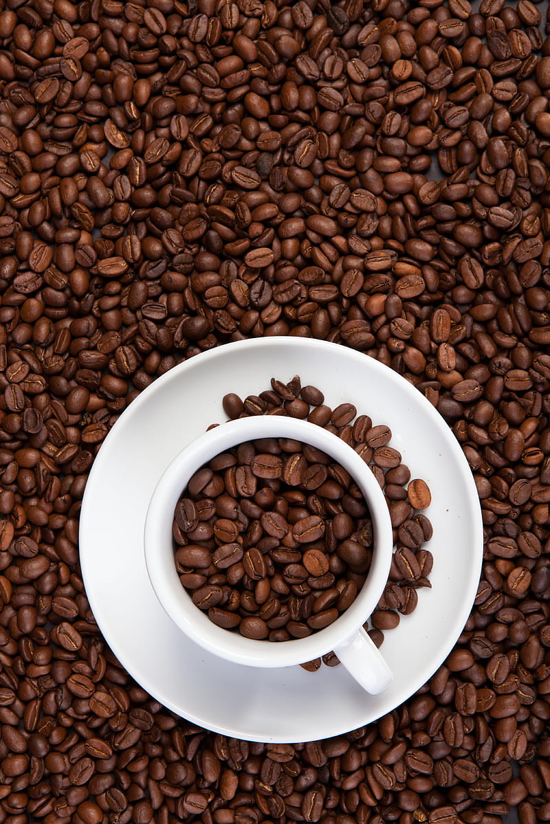 coffee beans, beans, coffee, mug, HD phone wallpaper