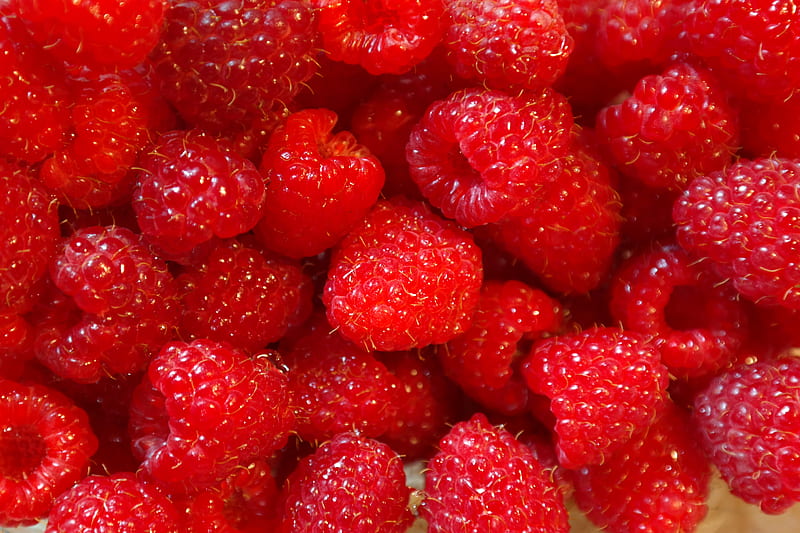 Lovely raspberries, fruit, raspberries, red, graphy, food, health, HD wallpaper
