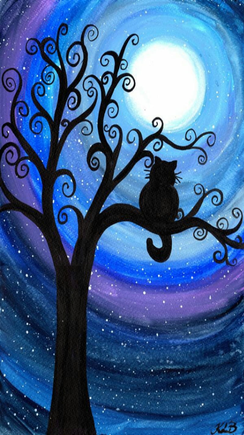 720P free download | Cat at night, at night, HD phone wallpaper | Peakpx