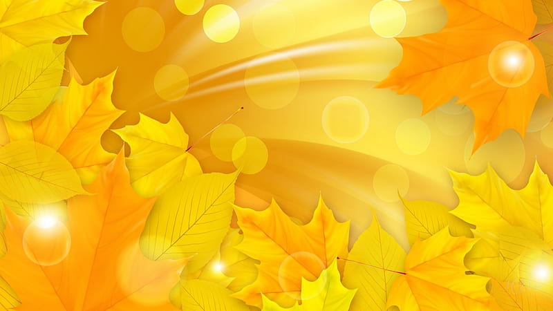 Leaves of Gold, fall, autumn, maple, sunlight, yellow, sunny, leaves, bokeh, gold, Firefox Persona theme, HD wallpaper