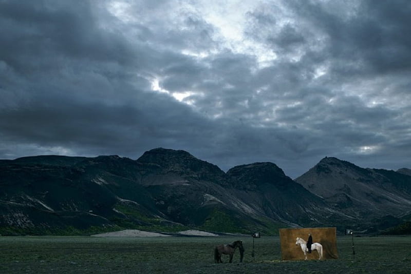 Run horse, horse, run, Iceland, mountains, HD wallpaper