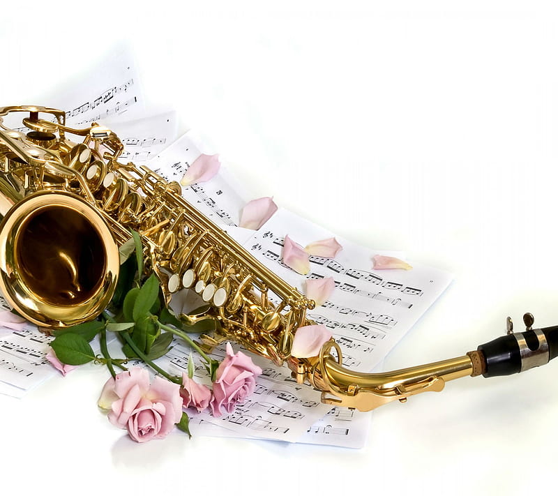 Sensational Saxophon, 2013, flower latest, love, music, new, nice, petals, quotes, HD wallpaper