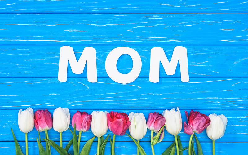 Happy Mothers Day, May 13 2018, word Mom, pink tulips, international holiday, blue wood background, congratulations, HD wallpaper