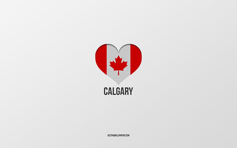 I Love Calgary, Canadian cities, gray background, Calgary, Canada, Canadian flag heart, favorite cities, Love Calgary, HD wallpaper