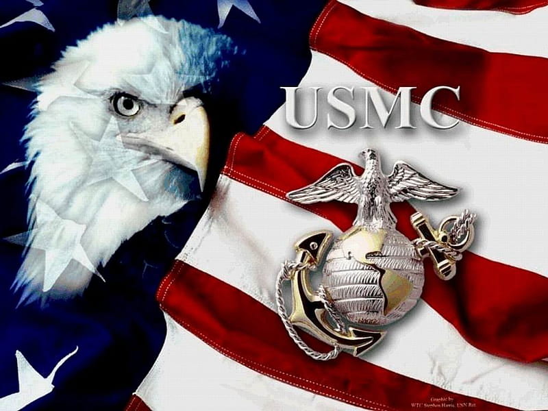 US Marines Flag with American Eagle, marine, hero, democracy, american, flag, HD wallpaper