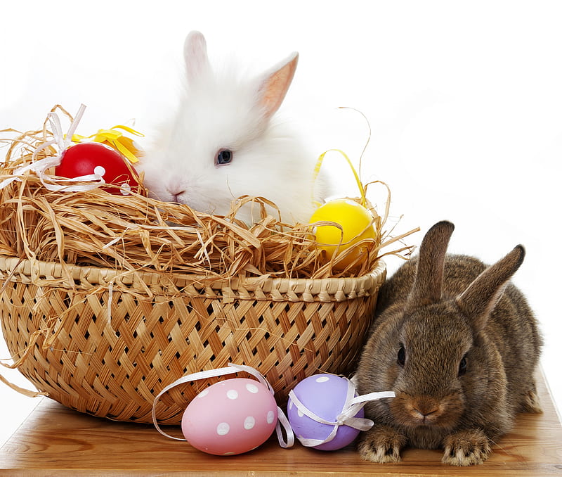 Easter bunnies and easter eggs, holidays, colors, sweet, cute, Easter, basket, eggs, pastel, bunnies, HD wallpaper