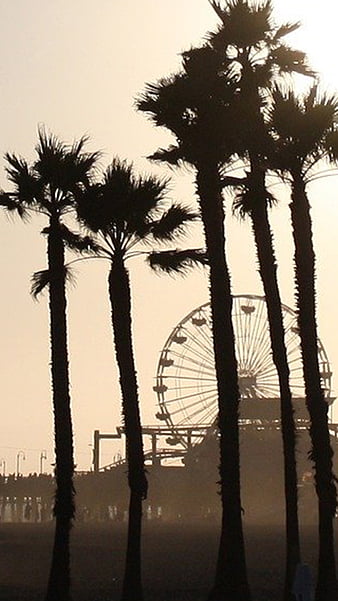 santa monica 1080P 2k 4k HD wallpapers backgrounds free download  Rare  Gallery