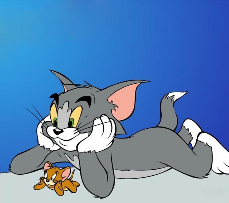 Tom and jerry, cartoon, characters, comedy, entertainment, funny, new, HD  wallpaper | Peakpx