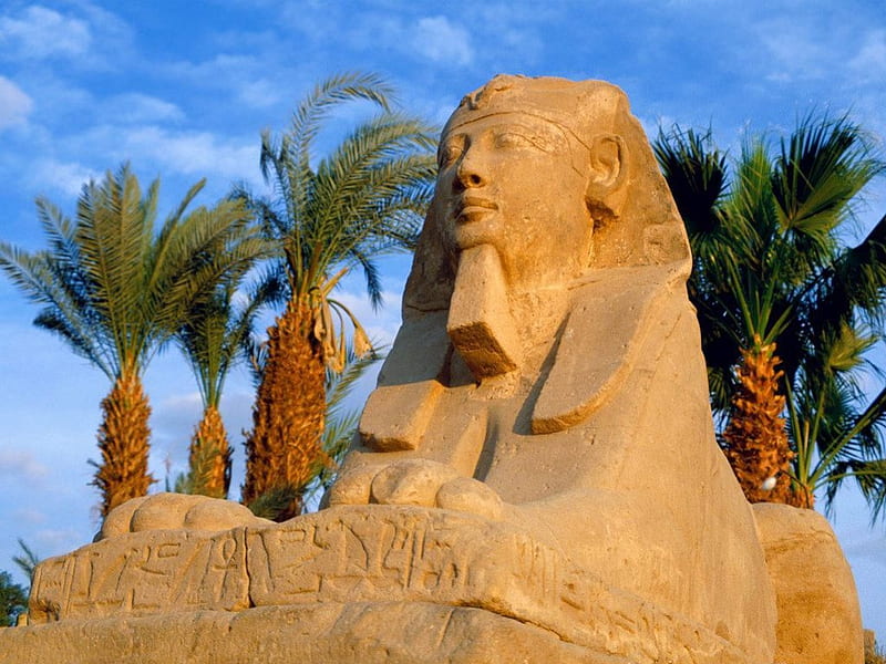 avenue of sphinxes - luxoregypt, avenue, sphinxes, luxor, egypt, HD wallpaper