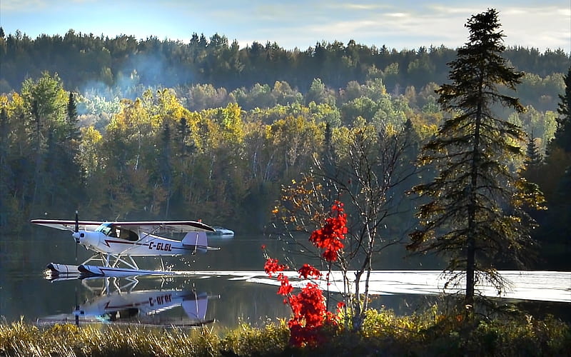 Seaplane in Quebec, Canada, forest, seaplane, Canada, lake, HD wallpaper