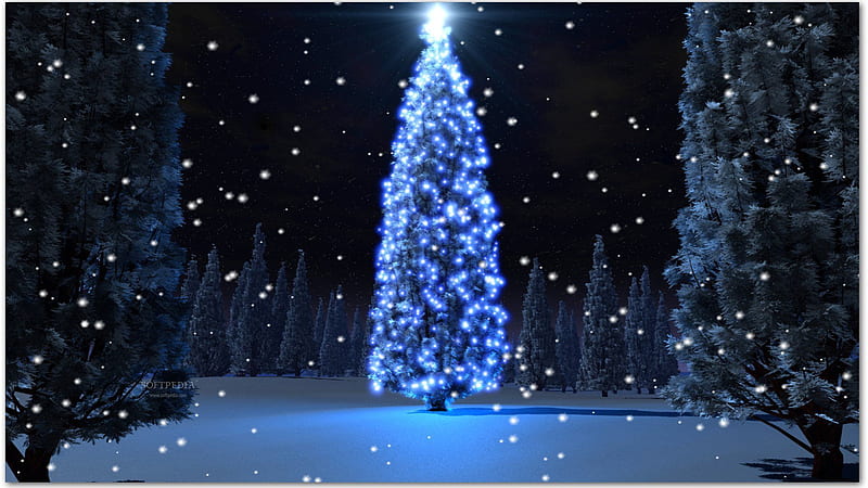 Christmas Tree With Blue Lights Christmas Countdown, HD wallpaper