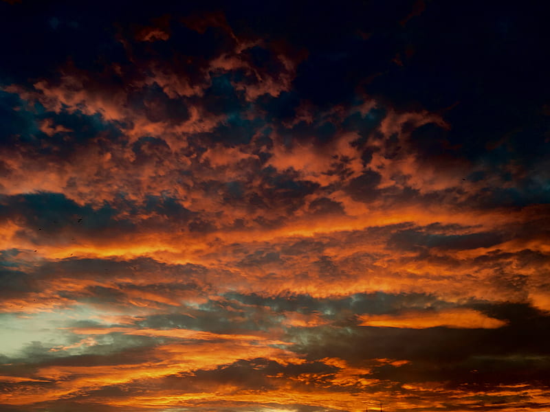 nimbus clouds during golden hour, HD wallpaper