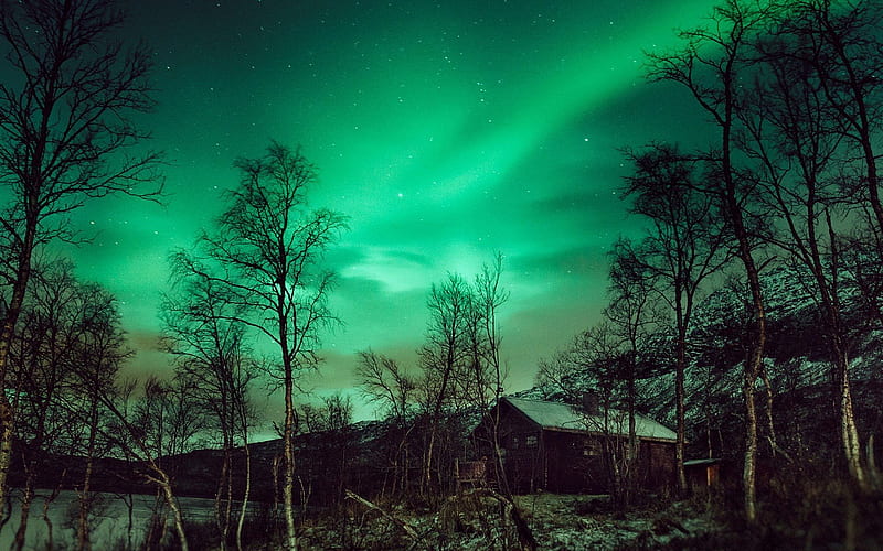 aurora borealis, north, winter, night, night sky, HD wallpaper