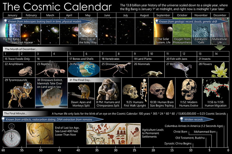 Misc, Cosmic Calendar, HD wallpaper