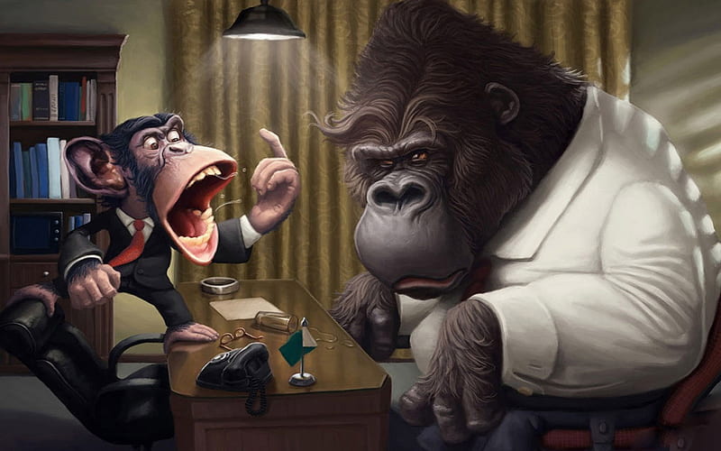 Monkey Business, drapes, office, books, glasses, monkey, chairs, phone, gorilla, funny, chair, desk, HD wallpaper