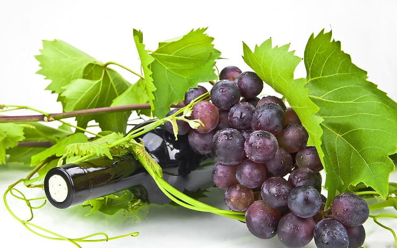 FRUIT OF THE VINE, fruit, grapes, still life, leaves, wine, grapevines, bottles, HD wallpaper