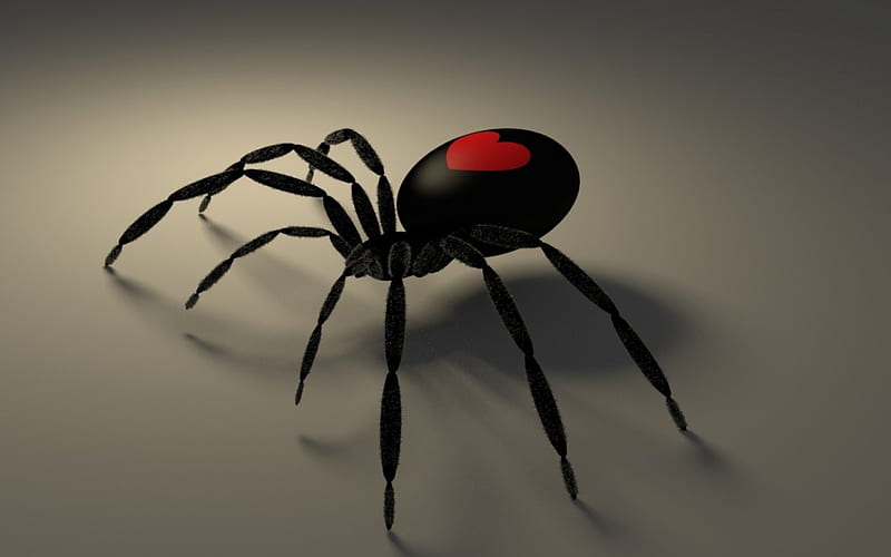 Spider, red, halloween, heart, black, valentine, HD wallpaper