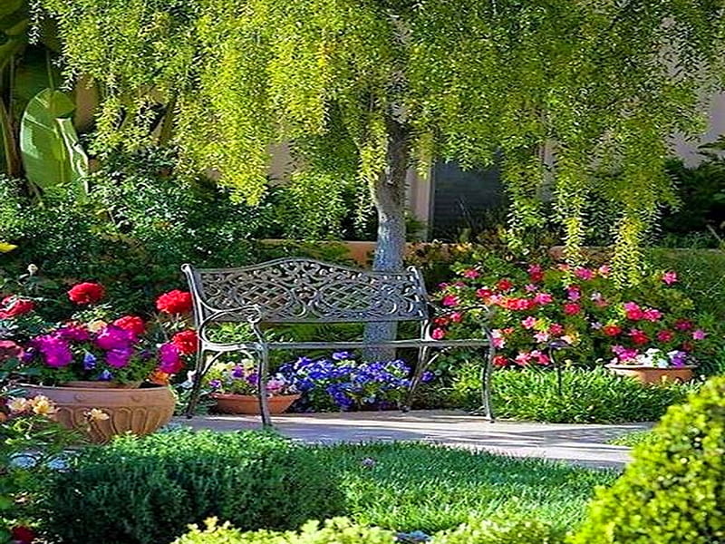 Parking spot, bench, flowers, park, trees, HD wallpaper