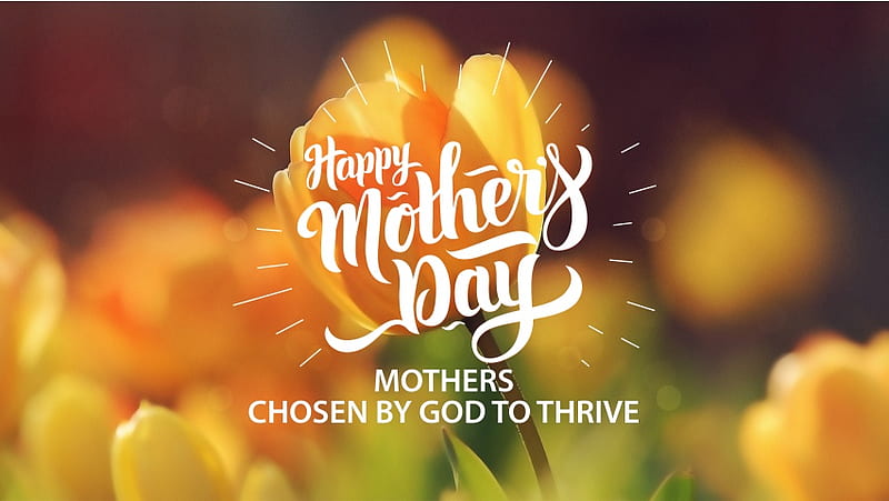 Mothers Chosen By God To Thrive, HD wallpaper