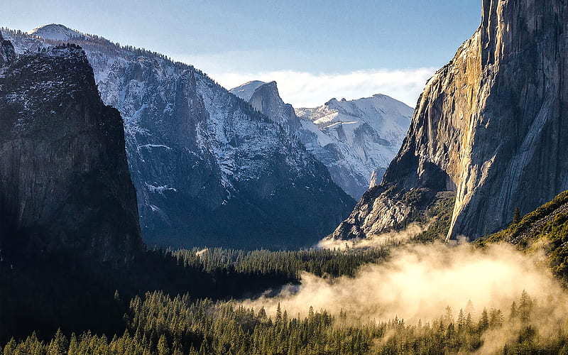 America, Yosemite Valley, morning, forest, american landmarks, Yosemite National Park, California, USA, mountains, HD wallpaper