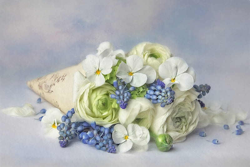 Flowers, flower, ranunculus, green, blue, white, HD wallpaper