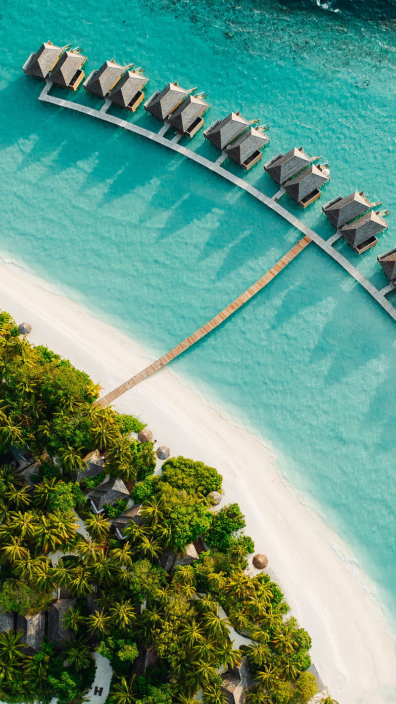 Tropical island aerial, beach, maldives, palm, sand, travel, tropic, HD phone wallpaper